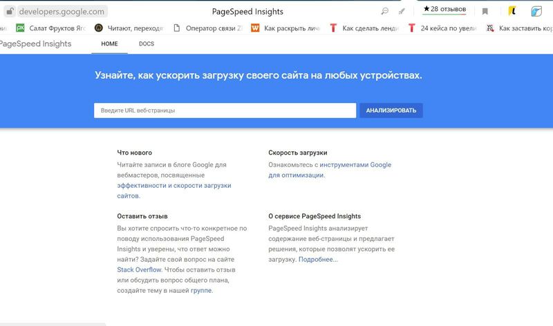Google PageSpeed Insights — Core Web Vitals check